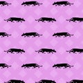 Black cat Oriental on pink patchwork background